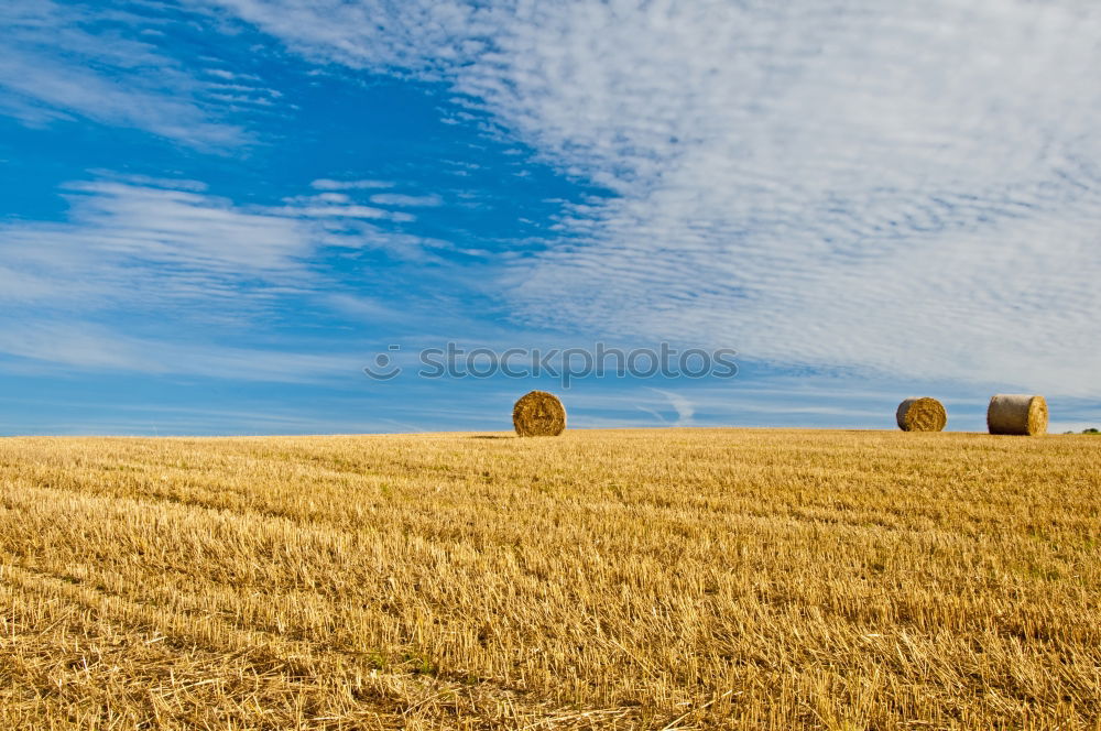 ernte Feld Landwirtschaft