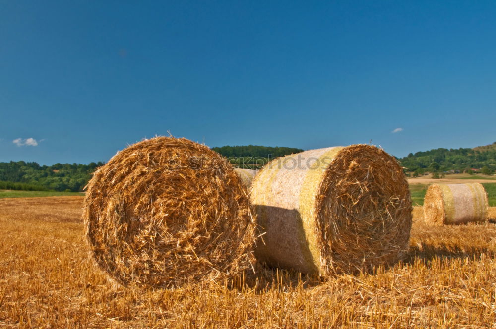 Similar – straw bale Hay bale Summer