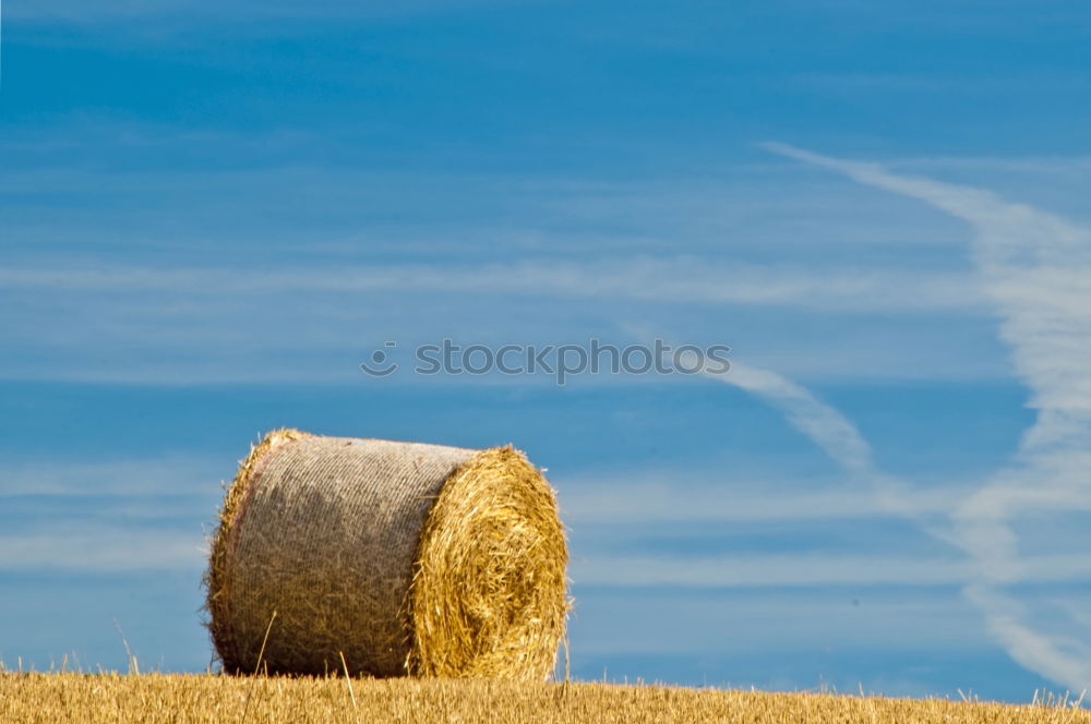 Similar – Herbstfeld Feld Himmel