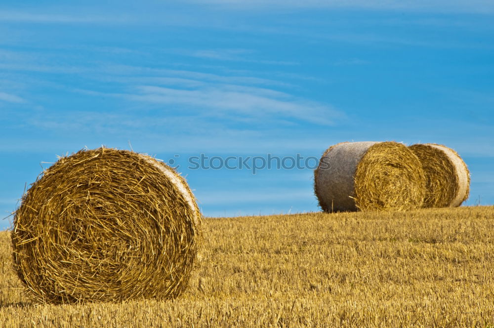 Similar – straw bale Hay bale Summer