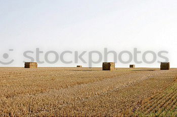 Similar – Foto Bild Fehlermeldung bei den Tiefstaplern