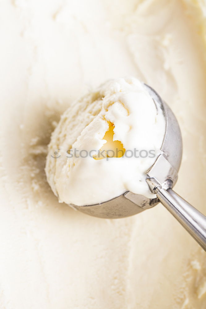 Italian cheese burrata with bread