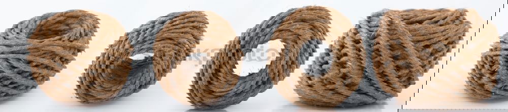 Similar – Image, Stock Photo ramified Nut Palm tree