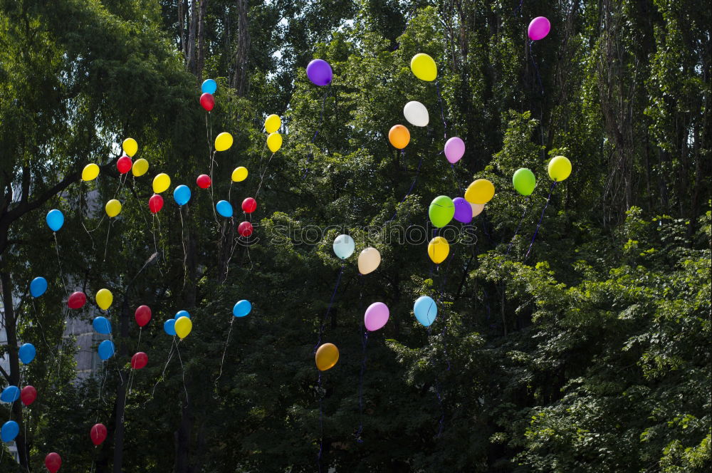 Green balloons vs. twigs