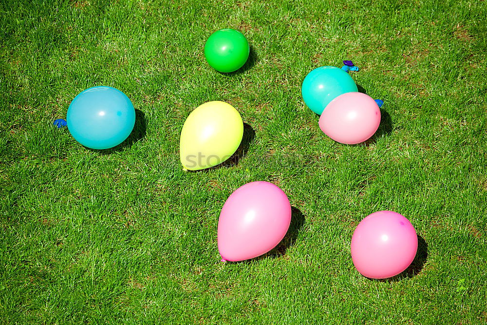 Similar – three colourful Easter eggs lie on flowering daisies in a meadow