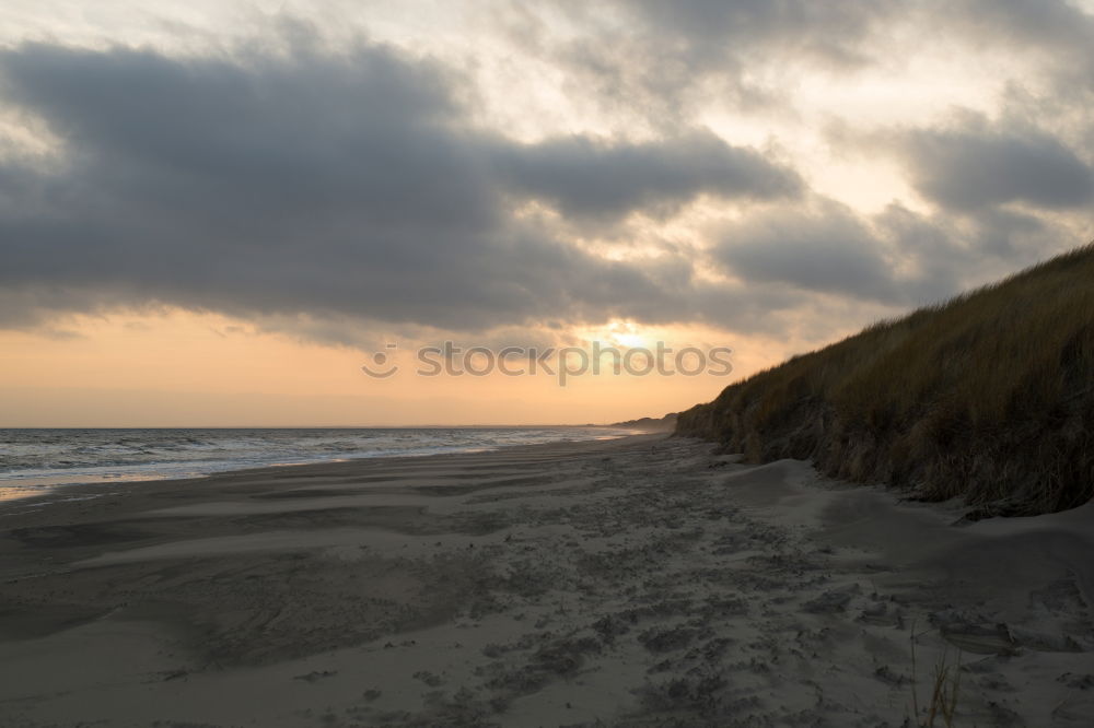 Similar – Foto Bild Gegenlicht Niederlande