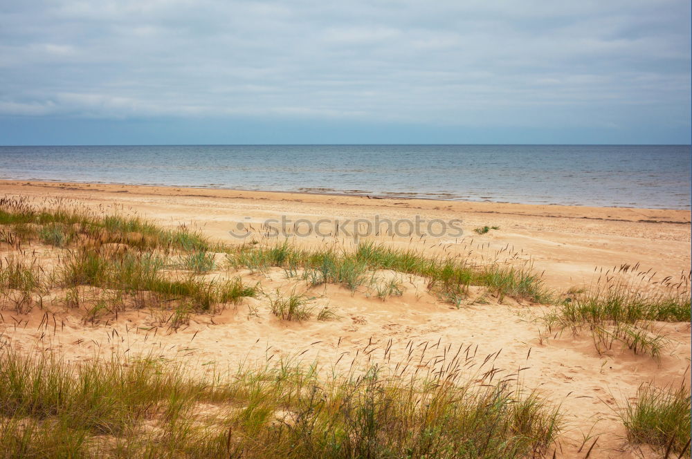 Similar – Image, Stock Photo dune hike Lifestyle