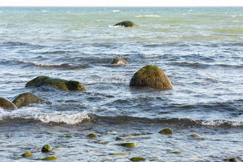 Similar – Kind mit Hund an der Nordsee