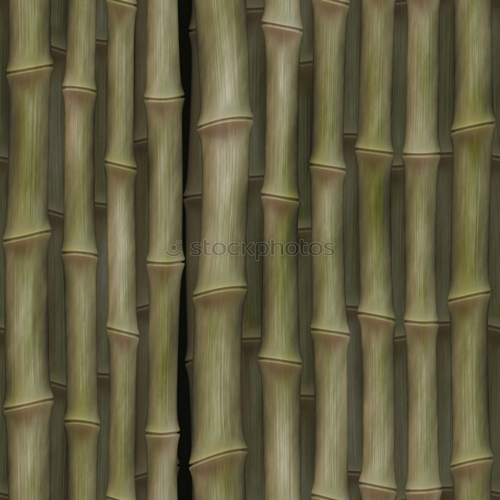 Similar – bamboo jungle Green