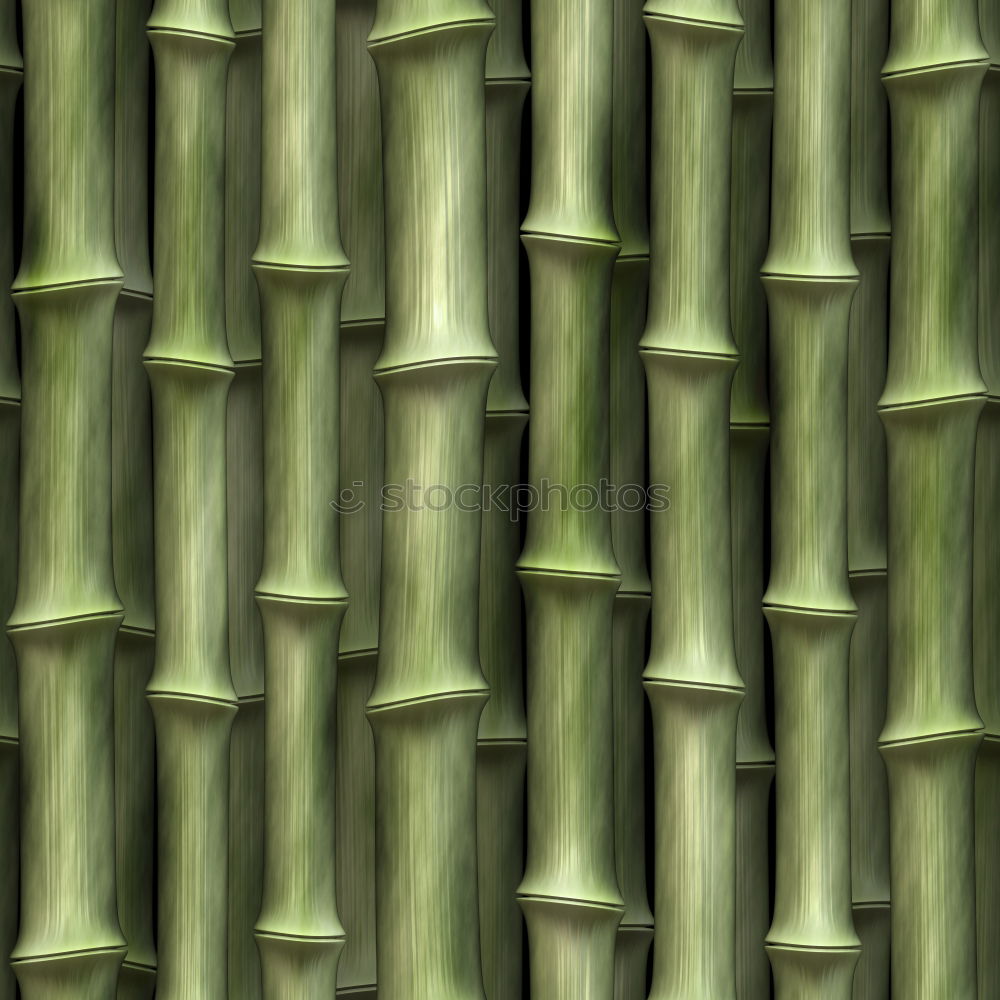 Similar – bamboo jungle Green