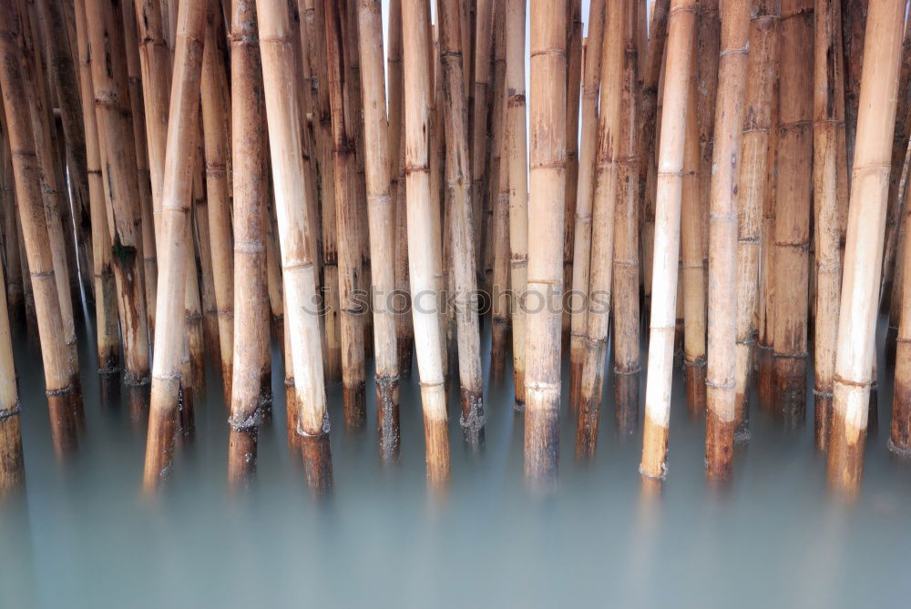 Similar – Boats 1 Watercraft Lake