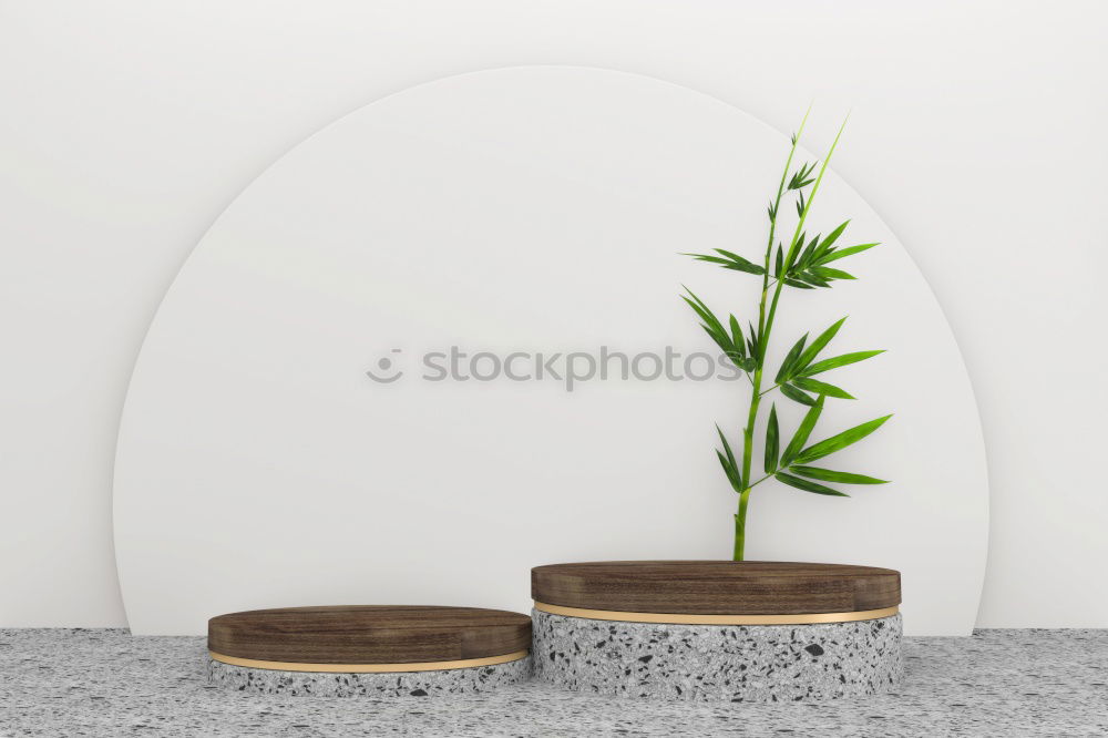 Similar – rustic table setting in natural forest style