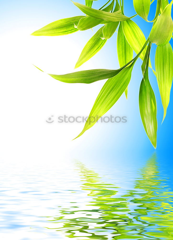 Similar – Foto Bild verweile… harmonisch