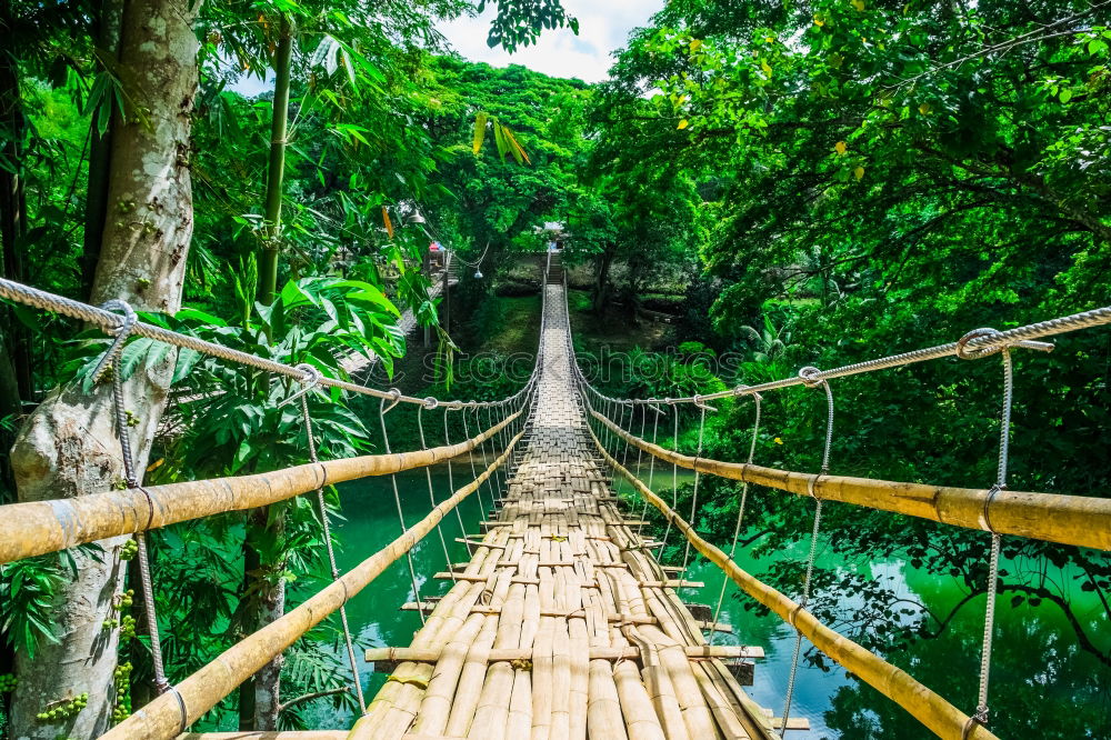 Similar – Hängebrücke zwischen zwei grossen Bäumen, Amazonasbecken, Peru, Südamerika