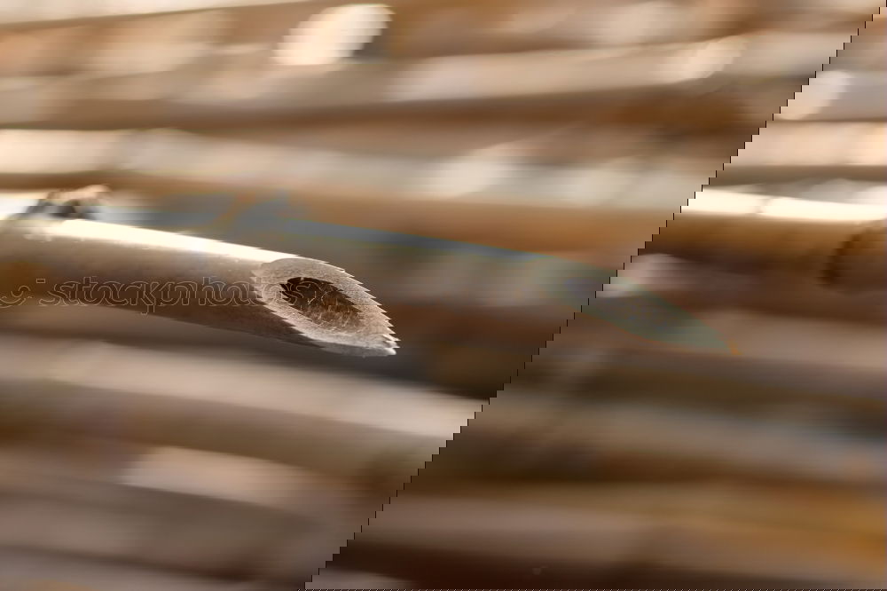Similar – Image, Stock Photo Craft III Handcrafts