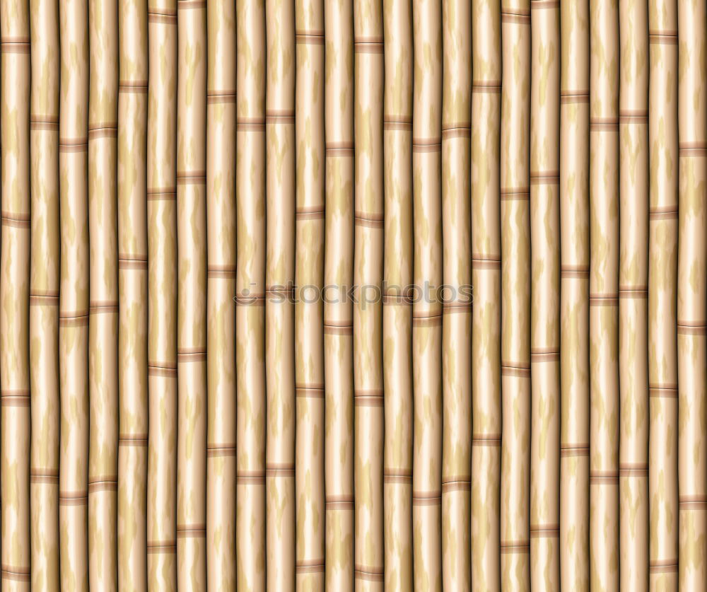 Similar – set of teeth Toothpick