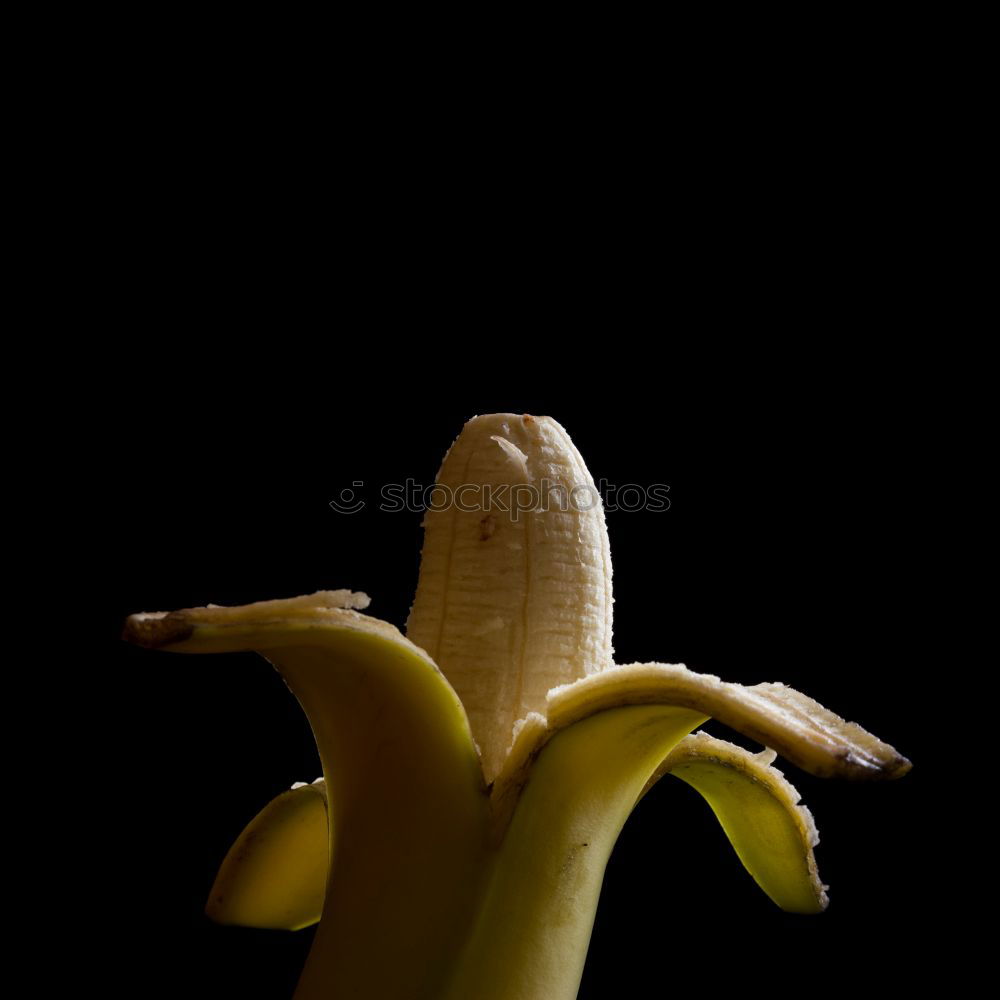 Similar – Rubber worms: Slip! A person slips on a banana