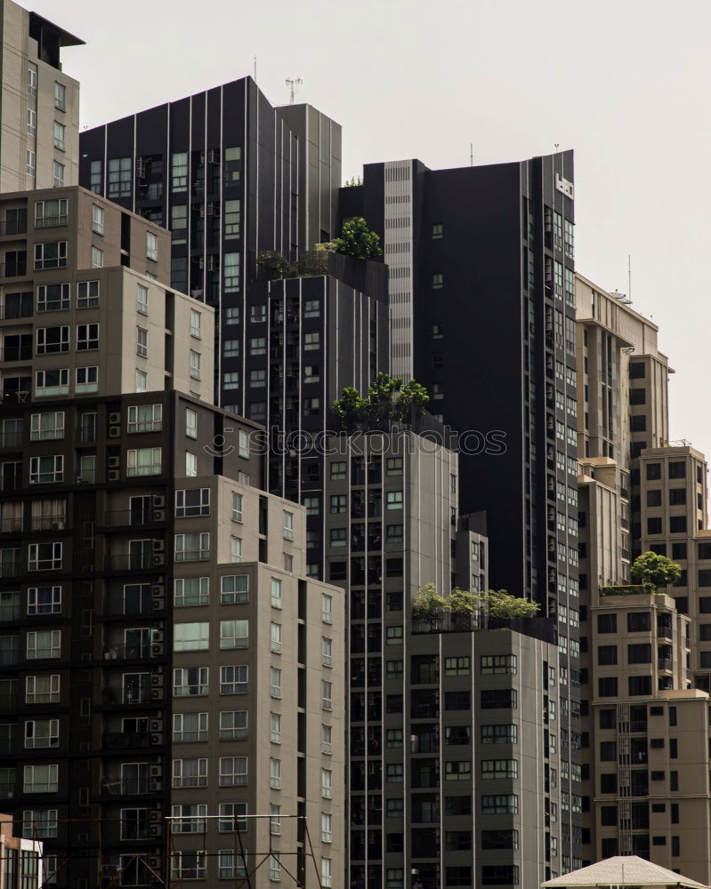 Similar – Image, Stock Photo NYC20 New York City