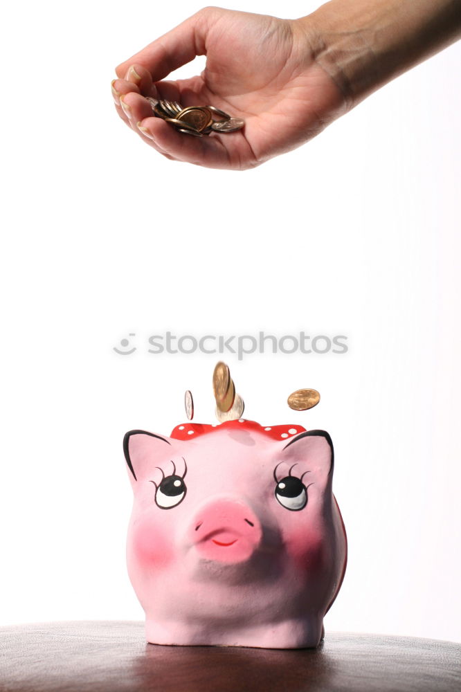 Similar – Red piggy bank Lifestyle