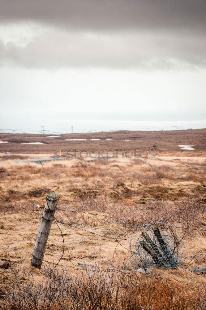 Similar – Atlantic Wall Tourism