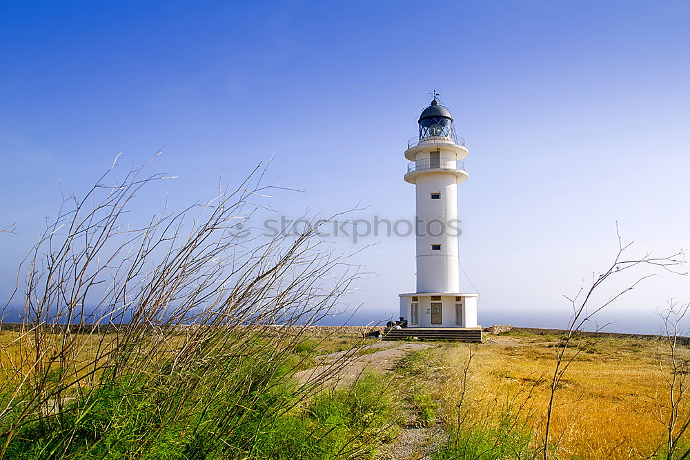 Image, Stock Photo Lighthouse Dornbusch on Hiddensee