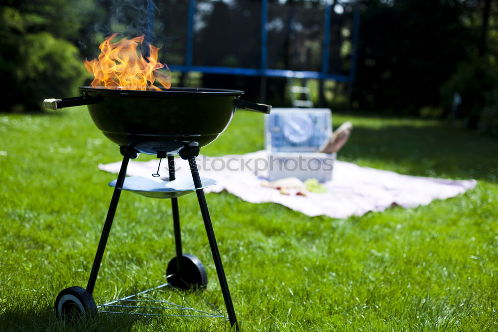 Similar – Ich weiß was du letzten Sommer gegrillt hast