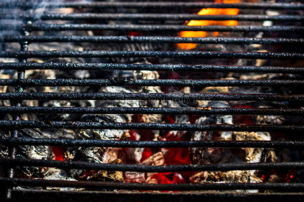 Similar – Gegrillte Sardinen aus der Nähe