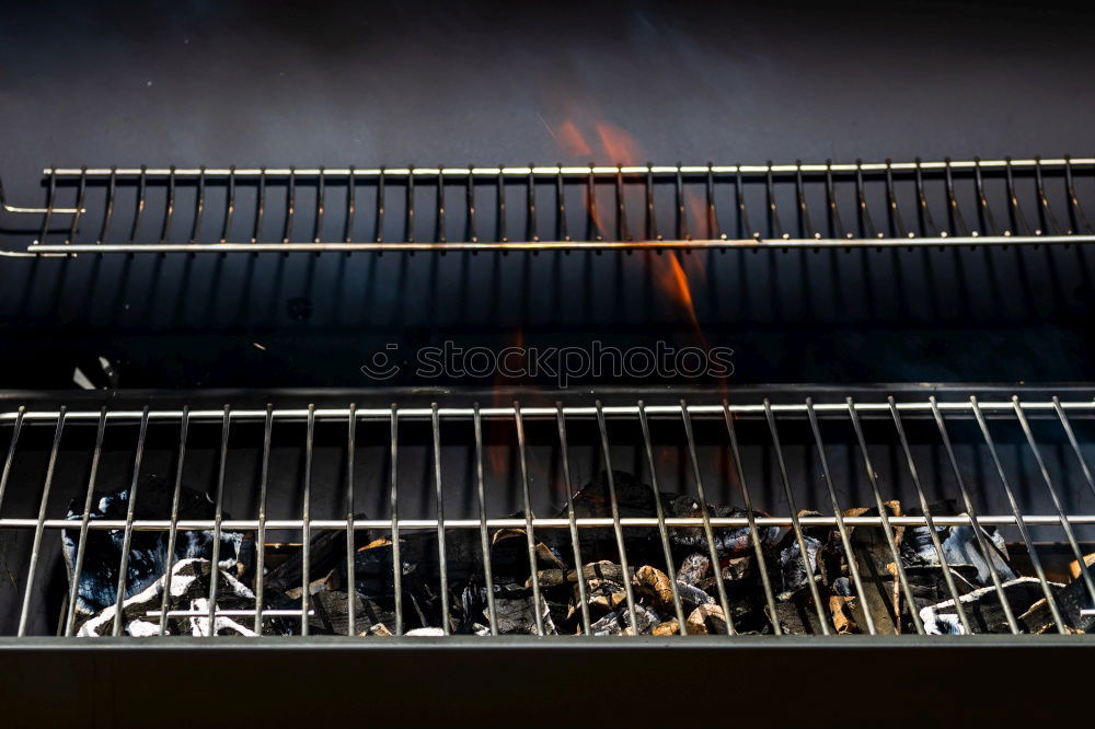 Similar – Gegrillte Sardinen aus der Nähe