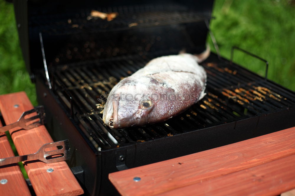 Similar – Grillfisch Fisch