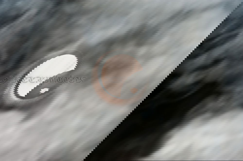 Similar – Image, Stock Photo Hide-and-seek of the stars v5