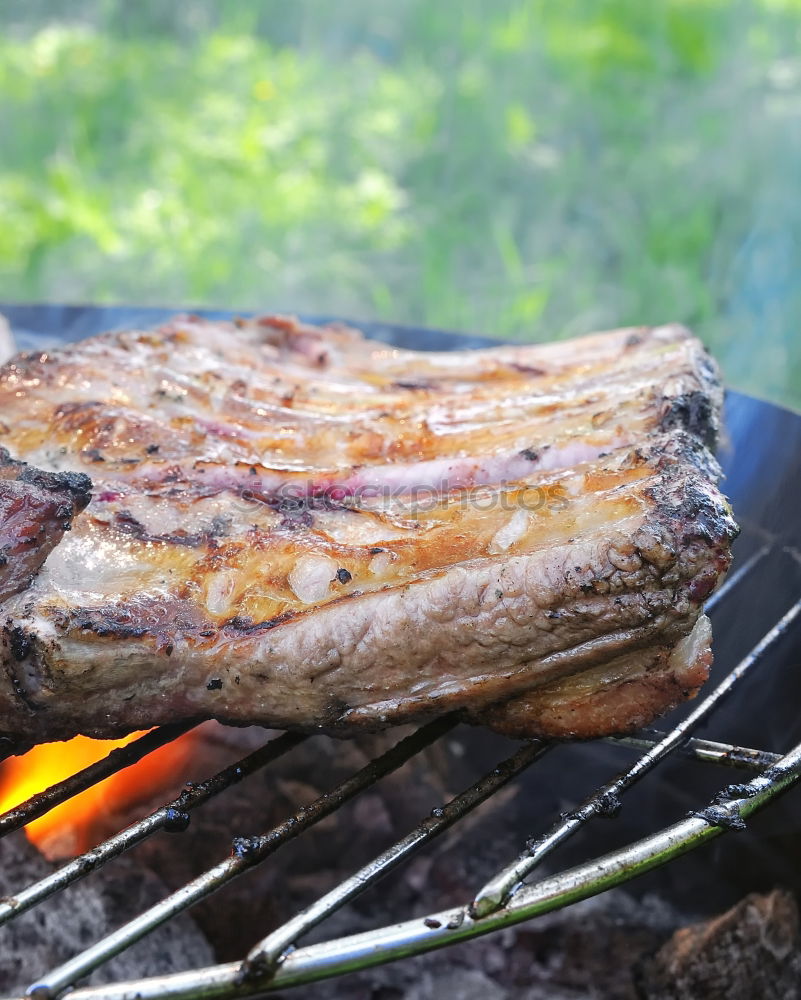 Similar – Image, Stock Photo outdoor Food Meat Sausage