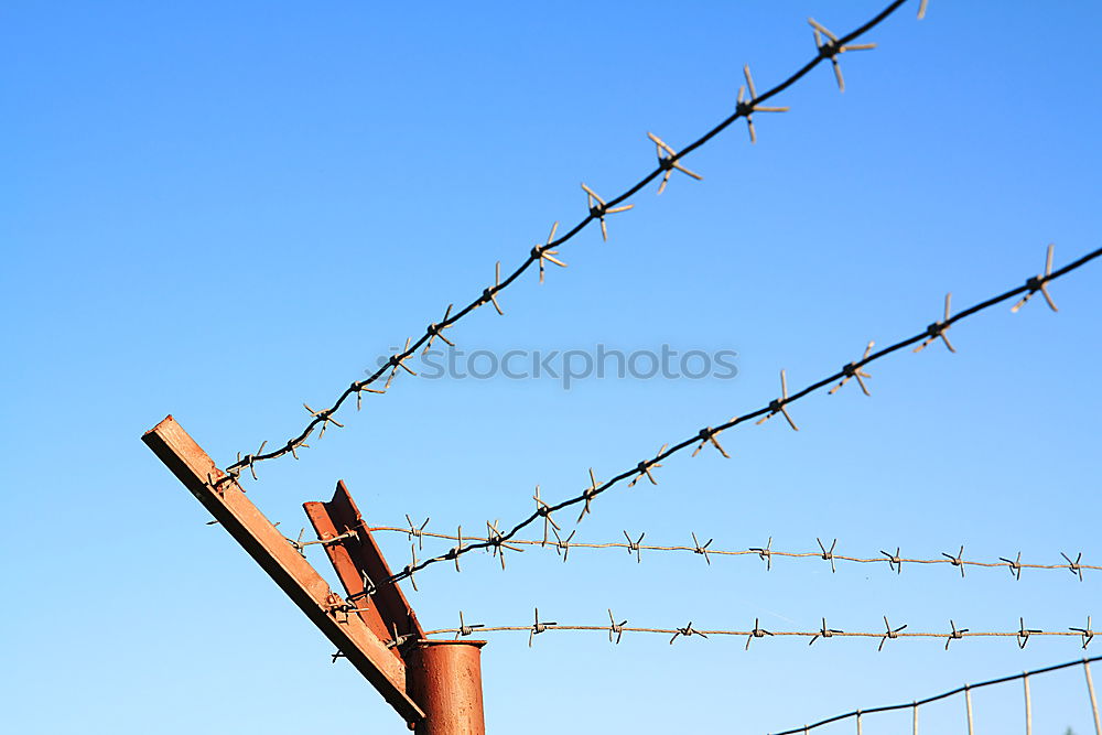 geometry Barbed wire Fence