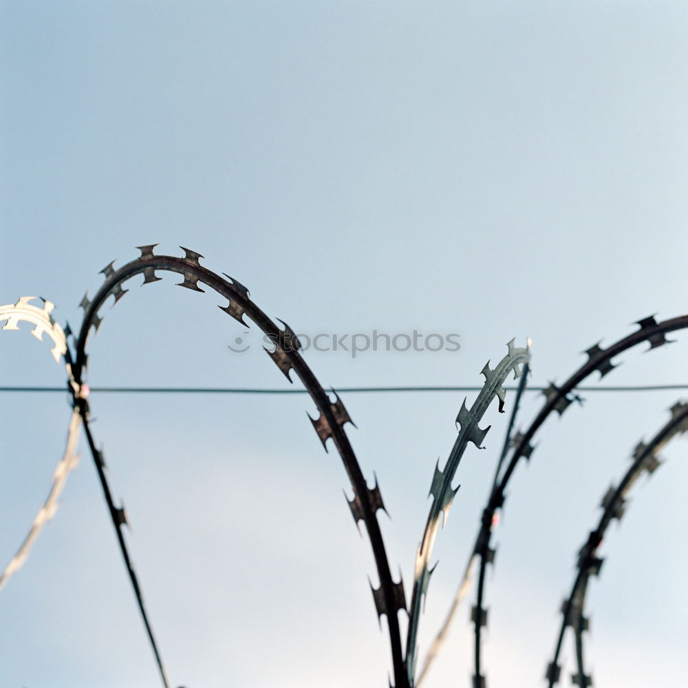 Similar – Fencing of sensitive sites with barbed wire. Barbed wire. Restriction of freedom. Prison fence. Forbidden territory. The concept of security. The concept of the ban.