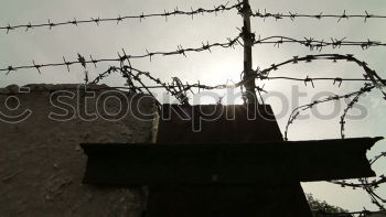 Similar – Foto Bild Lockruf Versuch ködern