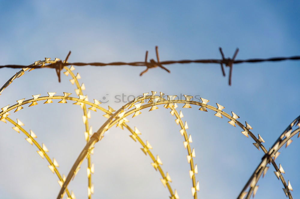 Similar – Image, Stock Photo Fence with a barbed wire