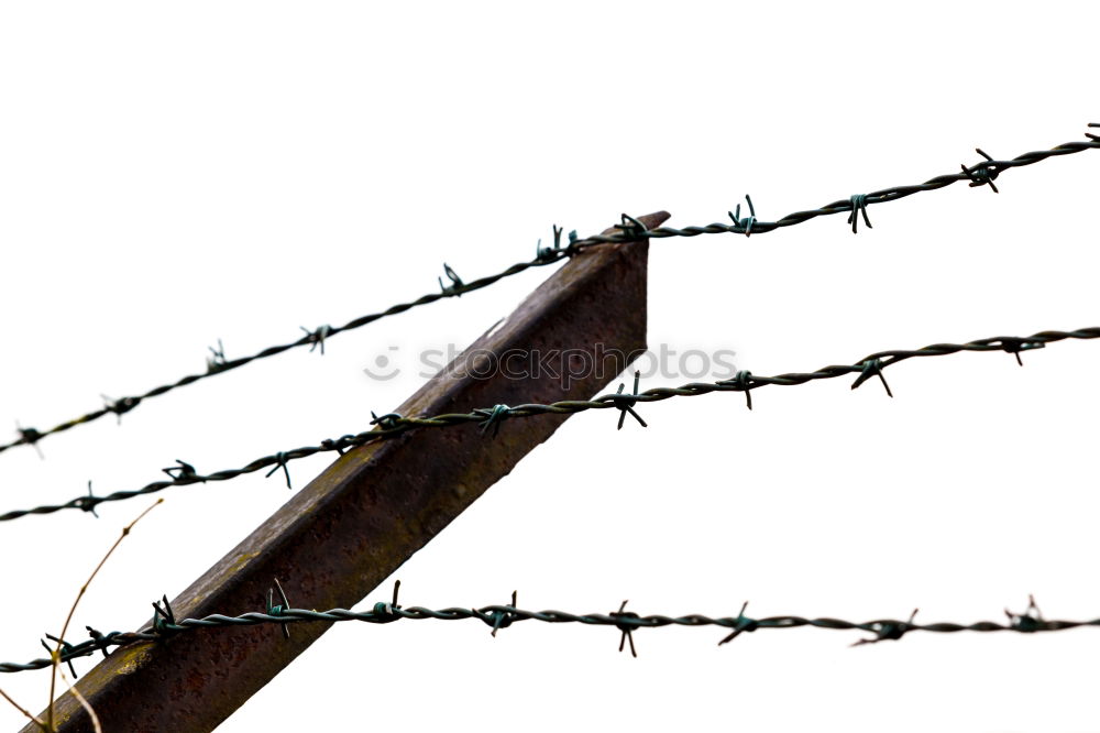 Similar – Image, Stock Photo captive Barbed wire Fence