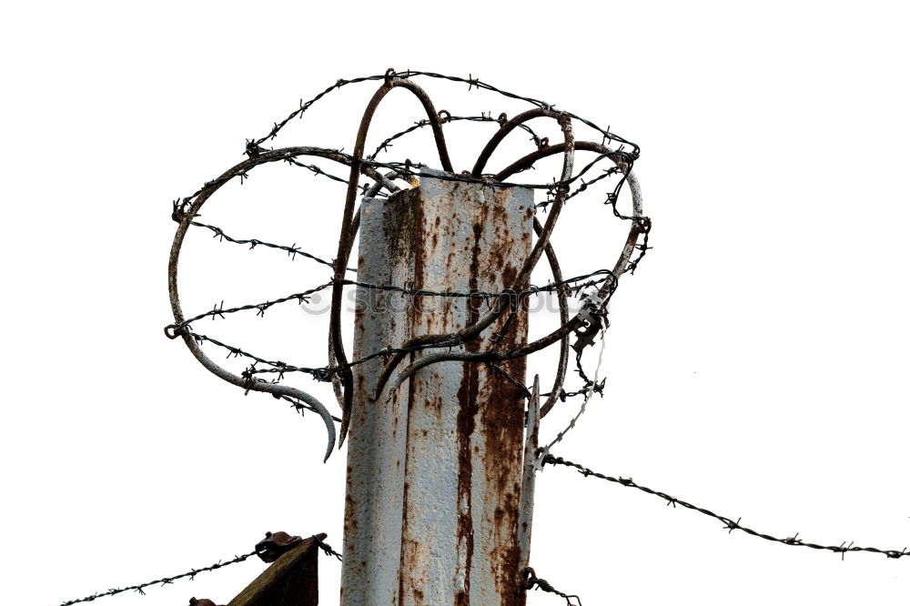 Similar – Image, Stock Photo captive Barbed wire Fence