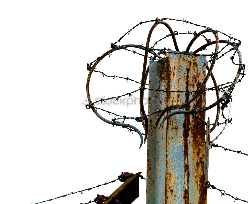 Similar – geometry Barbed wire Fence