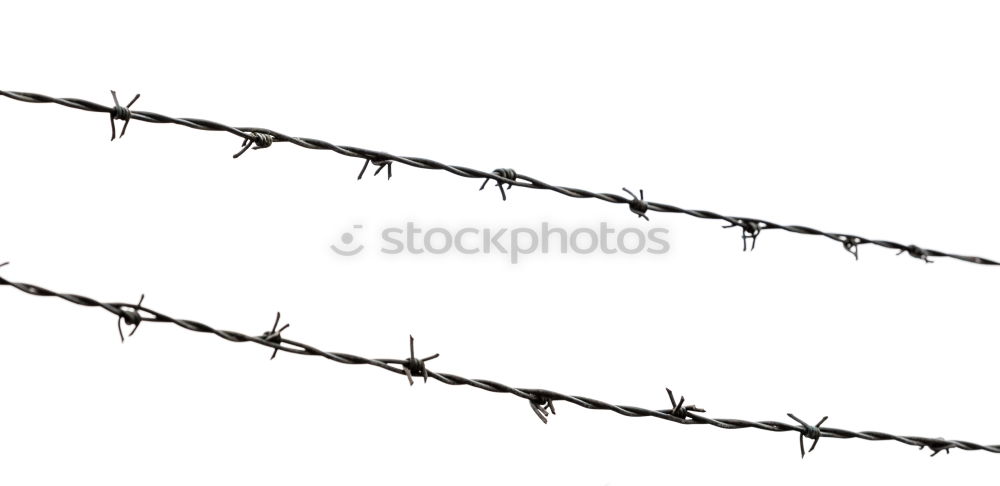 Similar – barbed wire Barbed wire