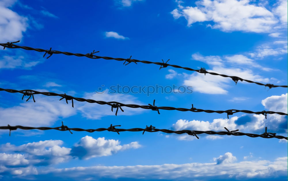 Similar – Image, Stock Photo Fence with a barbed wire