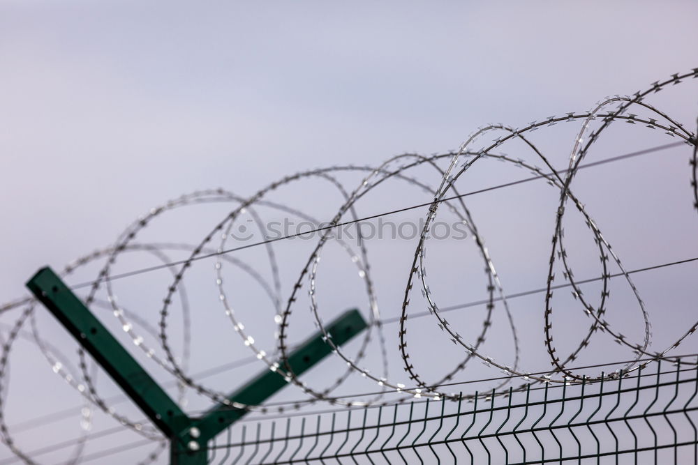 Similar – Fencing of sensitive sites with barbed wire. Barbed wire. Restriction of freedom. Prison fence. Forbidden territory. The concept of security. The concept of the ban.