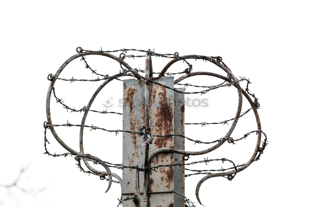 Similar – Image, Stock Photo Blocked sky Barbed wire