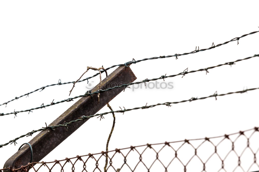 Similar – Image, Stock Photo captive Barbed wire Fence