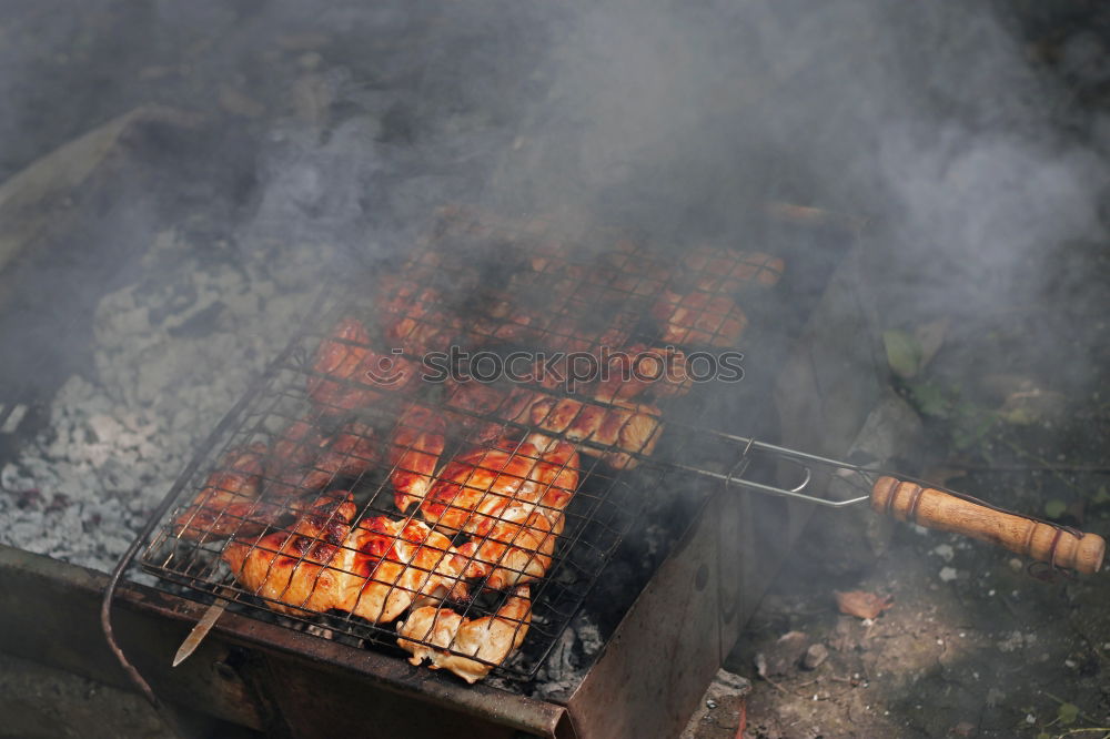 Similar – Image, Stock Photo Grilled fish.