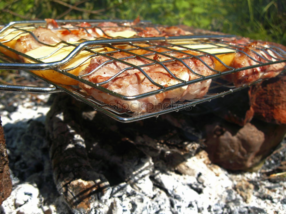 Similar – Image, Stock Photo outdoor Food Meat Sausage