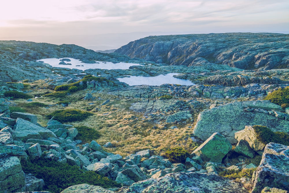 Similar – Image, Stock Photo Summer at the Barents Sea