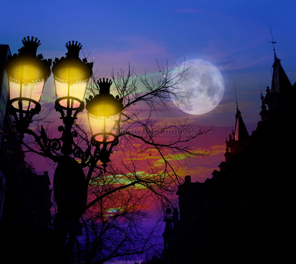 Similar – CG# Dresden Skyline IV Art