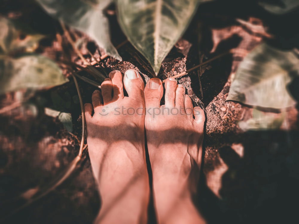 Similar – Image, Stock Photo Printed photos on table