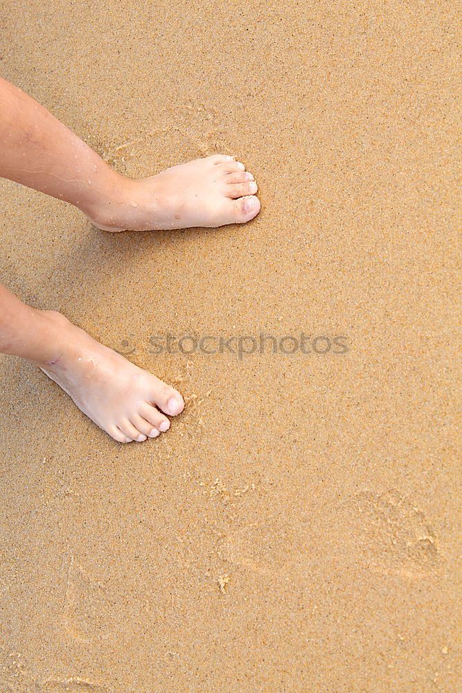 Similar – Feet in the sandy beach