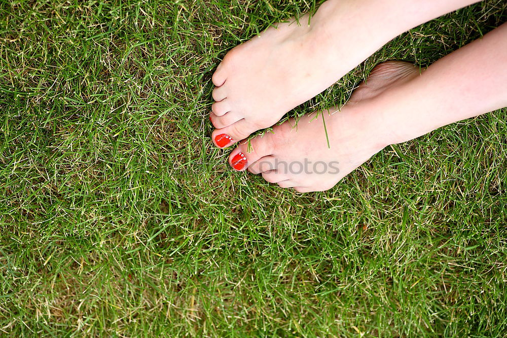 Similar – Image, Stock Photo Flower_and_foot-1